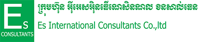 ES International Consultants